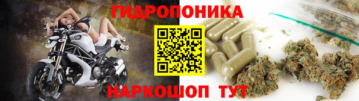 Каннабис индика Алушта